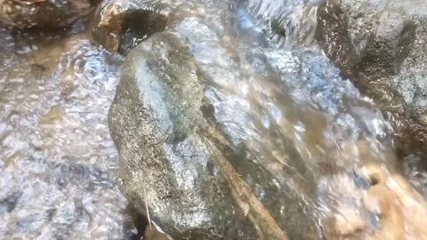 Clear Water Rippling Through Mossy Stones Stock Footage 334590158