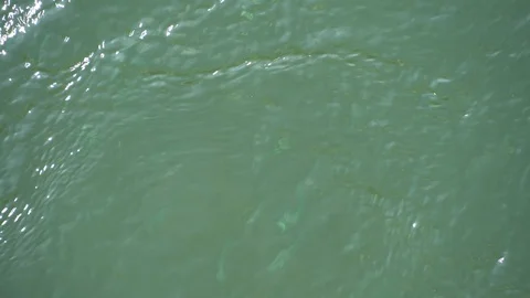 Clear water river background. close up pure fresh transparent mountain river Stock Footage 113302912