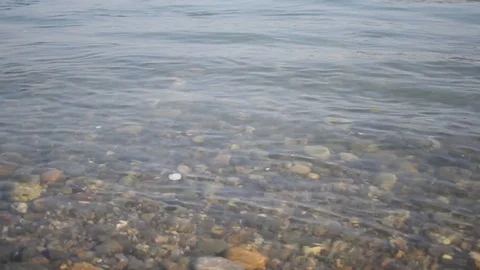 Clear water river background. close up of stones in pure fresh transparent Stock Footage 120968139