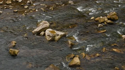 Clear water river background. Close up of stones in pure fresh transparent mount Vidéo 121633308