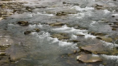 Clear water river background. Close up of stones in pure fresh transparent mount Vidéo 121633372