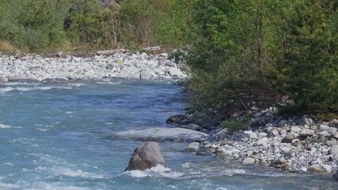 Clear water of river close up with Fresh green. Video stock 107988088