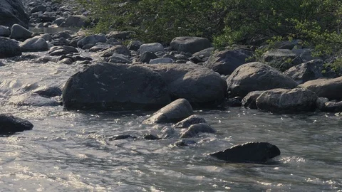 Clear water of river close up with Fresh green. Video stock 107993448