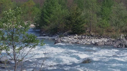 Clear water of river close up with Fresh green. Video stock 107996261
