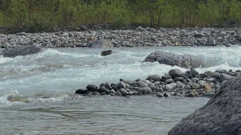 Clear water of river close up with Fresh green. Video stock 107997430