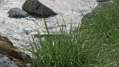 Clear water of River close up. Slow motion. Stock Footage 107972660