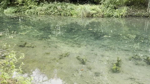 Clear water in a river in England Video stock 253992853
