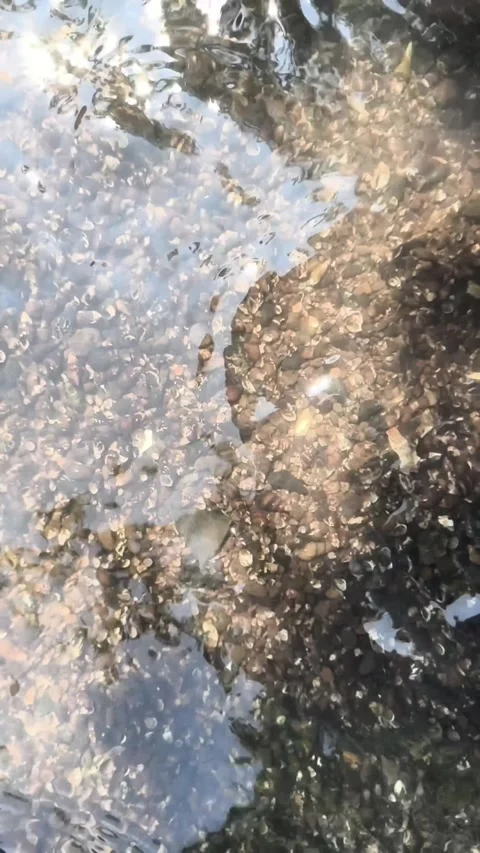 Clear water river flow waves 1 Stock Footage 317212327