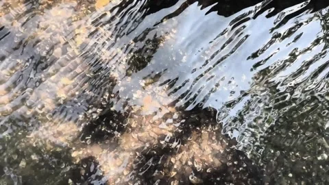 Clear water river flow waves 2 Stock Footage 317212328