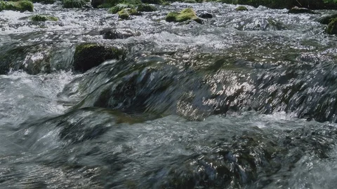 Clear water of river flowing in Nagano, Japan. Stock Footage 108702653