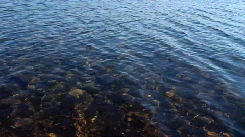 Clear water in the river Vídeo Stock 67435384