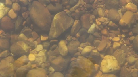 Clear water in a river Stock-Footage 92790622