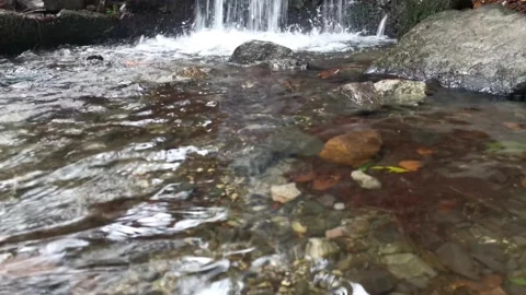 Clear water in the river Stock Footage 164282436