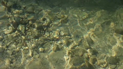 Clear water in the river Stock Footage 193987847
