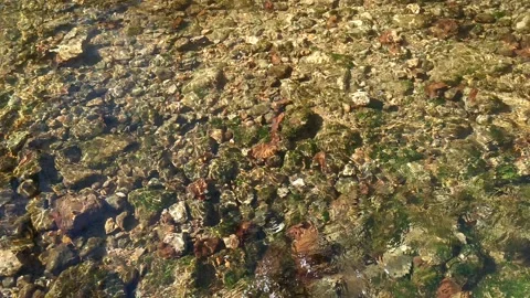Clear water in the river. Stock Footage 201344322