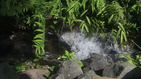 Clear water river Stock Footage 220610440