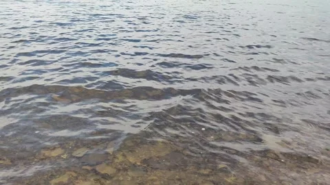 Clear water of the river Stock Footage 282127680