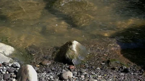 Clear water by the river Stock Footage 287289640