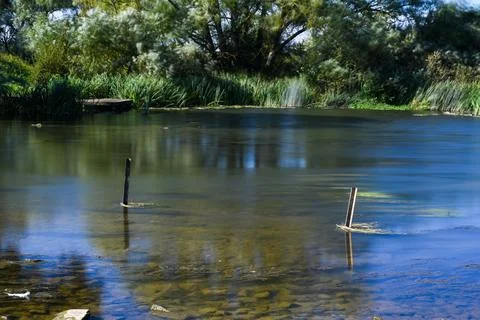 Clear water in the river with motion effect fom long exposure Stock Photos
