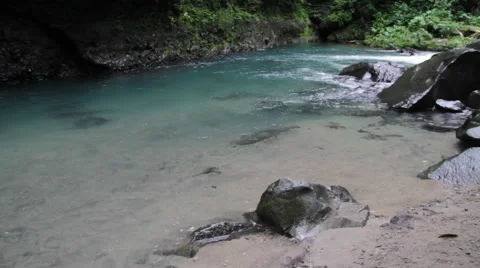Clear water river - Rio de água transparente 스톡 동영상 41906368