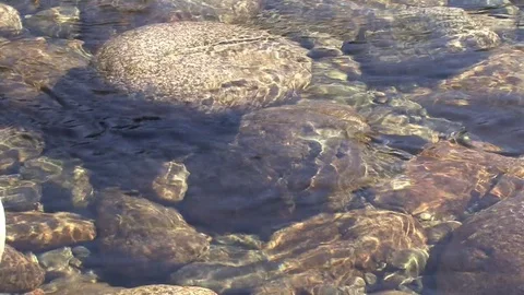 Clear water river rock Video stock 82474033