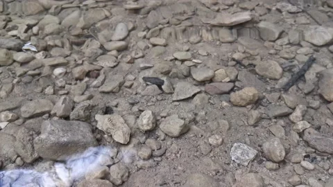 Clear water in the river. Shallow depth in the purest stream. Stock Footage 140058671