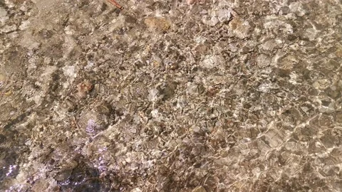 Clear water in the river. Shallow depth in the purest stream Stock Footage 166272589