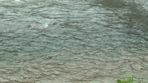 Clear Water River Stream Slow Motion Stock Footage