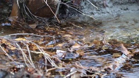 Clear water running in a ditch Video stock 108649621