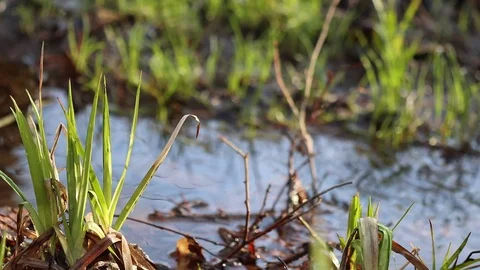 Clear water running in a ditch Stock Footage 108649625