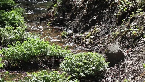 Clear water running in a ditch Stock Footage 108649659