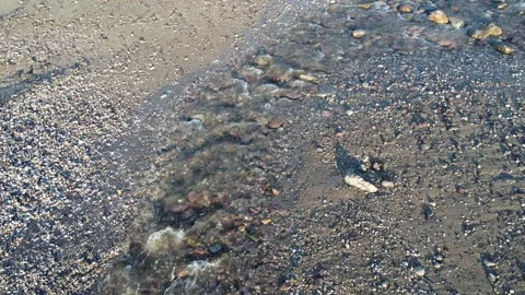 Clear water running through a rivulet of stones Stock Footage 268832934