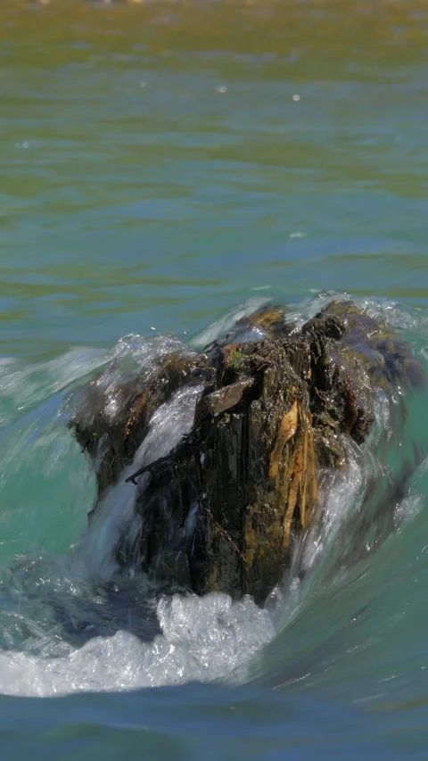Clear Water Rushing Over Tree Stump in River Vertical Video 動画素材 346000446