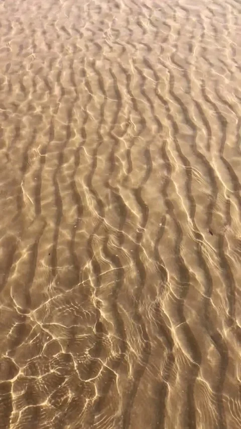 Clear water sand ripples texture beach background shallow water Stock Footage 342724540