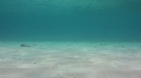 Clear water with sandy bottom seamless loop Video stock 40050300