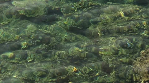 Clear water on sea Vidéo 12153482