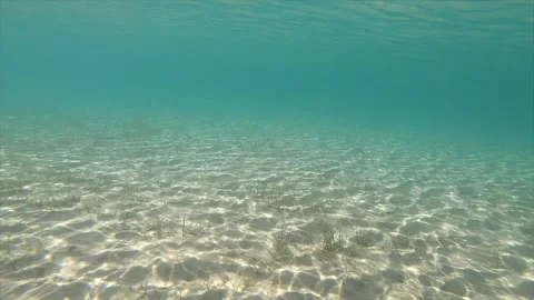 Clear water shows light patterns on the sandy floor at a tropical beach in summe Stock Footage 335333630
