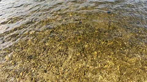 Clear Water Slow Motion Stock Footage 163151411
