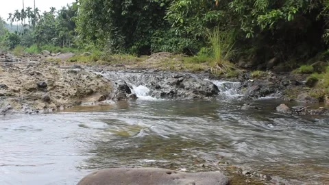 Clear water in a small mountain river in the forest. A rushing river Stock Footage 277282978