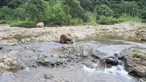 Clear water in a small mountain river in the forest. A rushing river Stock Footage 277283138
