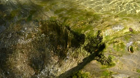 Clear water from a small mountain stream flowing over rocks Stock Footage 211471557