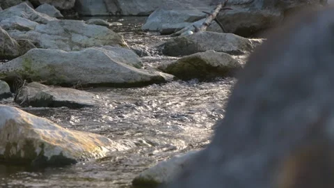 The clear water of a small mountain stream flows between the rocks, creating a n Stock Footage 303753752