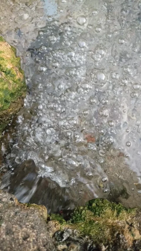 Clear Water Stream with Bubbles and Mossy Rocks Stock Footage 338336573