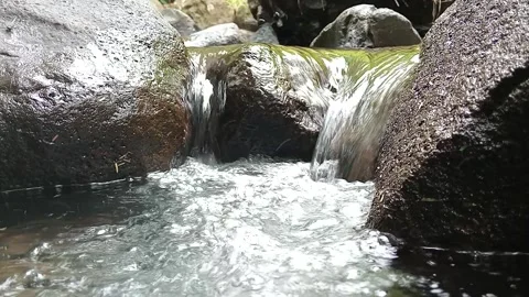 Clear Water Stream Flow Over Rocks Fresh Nature Scene Stock Footage 330581716