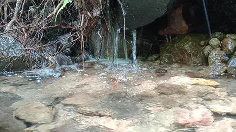 Clear Water Stream Flowing Over Rocks in Tropical Jungle Stock Footage 329757647
