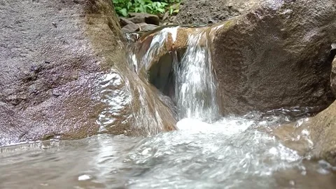 Clear Water Stream Flowing Over Rocks in Tropical Forest Close Up Stock Footage 330543263