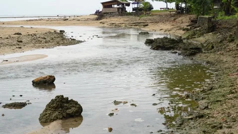 A clear water stream flowing over a sandy and rocky beach Stock Footage 331253523