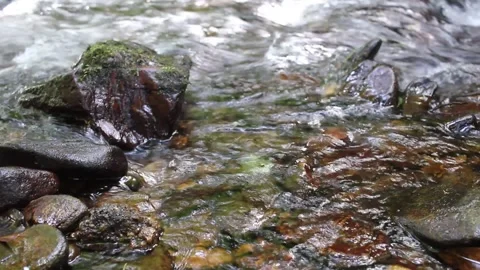 Clear water stream flowing over rocks in Galicia forest Vidéo 335661992
