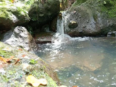 Clear Water Stream Flowing Over Rocks in Forest Stock Photos