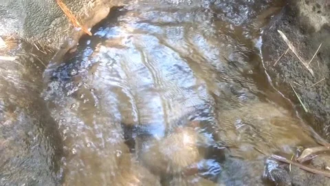 Clear Water Stream Flowing Through Natural Rocks Видео 334638936